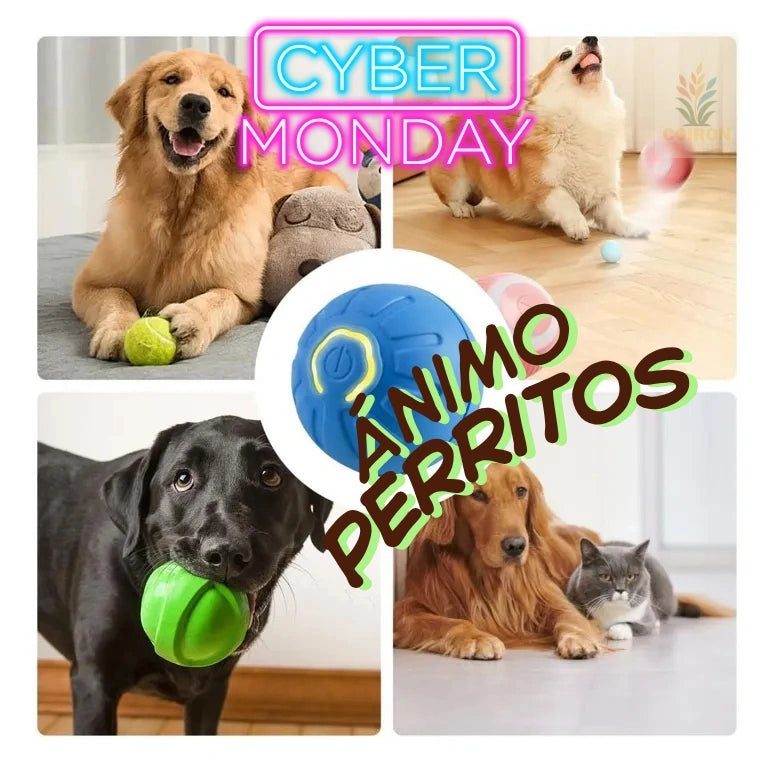 Pelota Inteligente para Mascotas