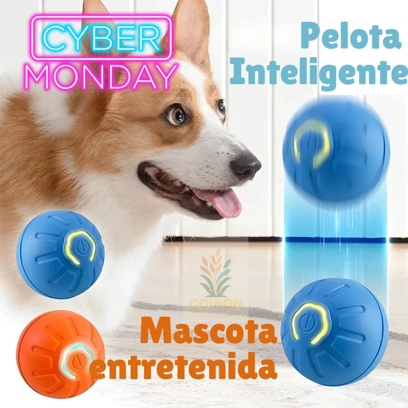 Pelota Inteligente para Mascotas