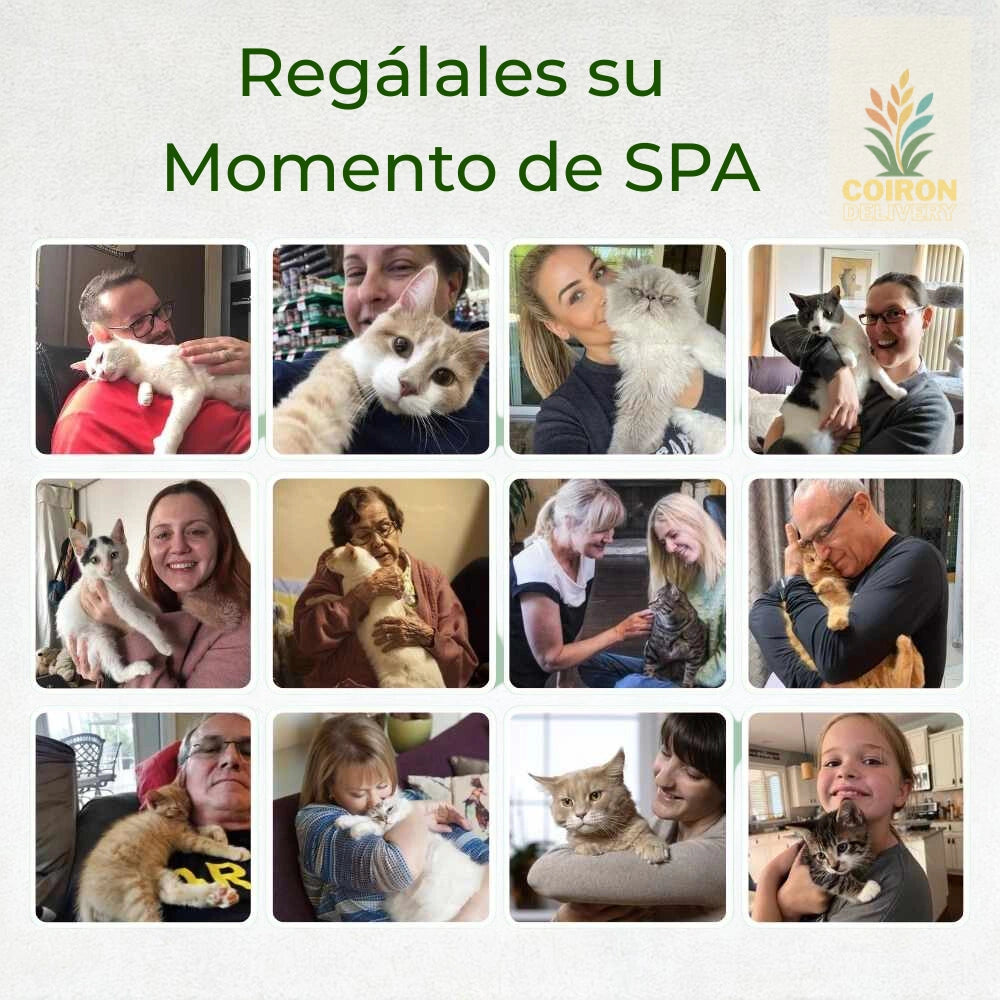 Cepillo de vapor 3 en 1 para Mascotas