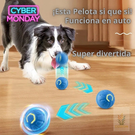 Pelota Inteligente para Mascotas
