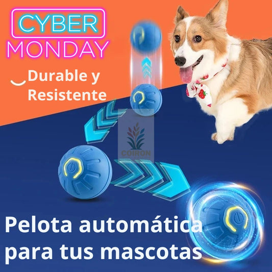 Pelota Inteligente para Mascotas